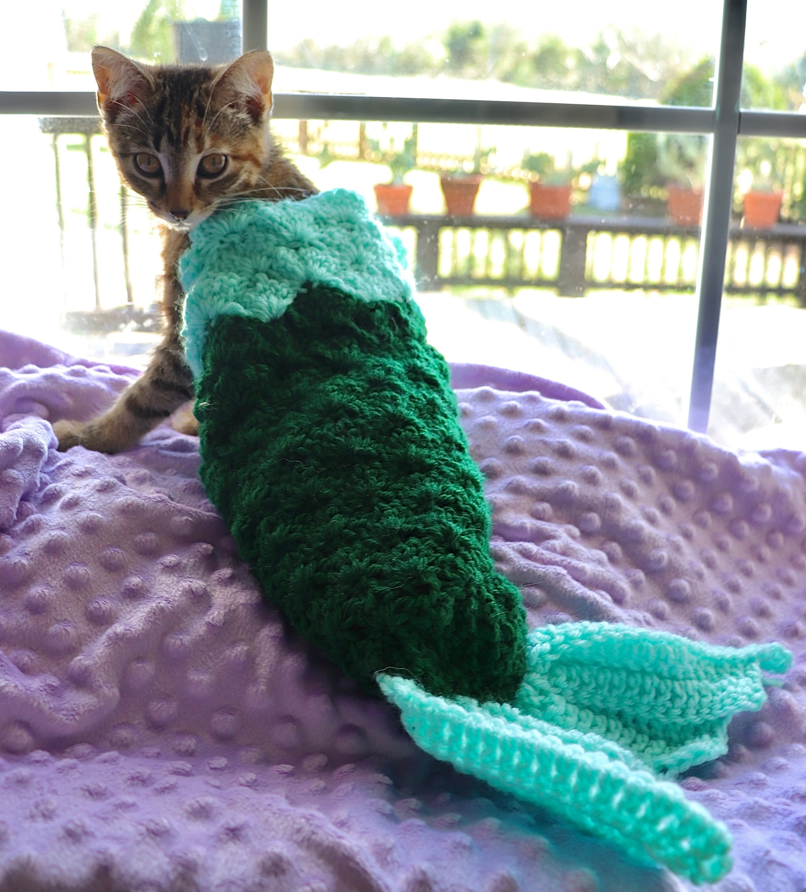 Mermaid cat outlet blanket